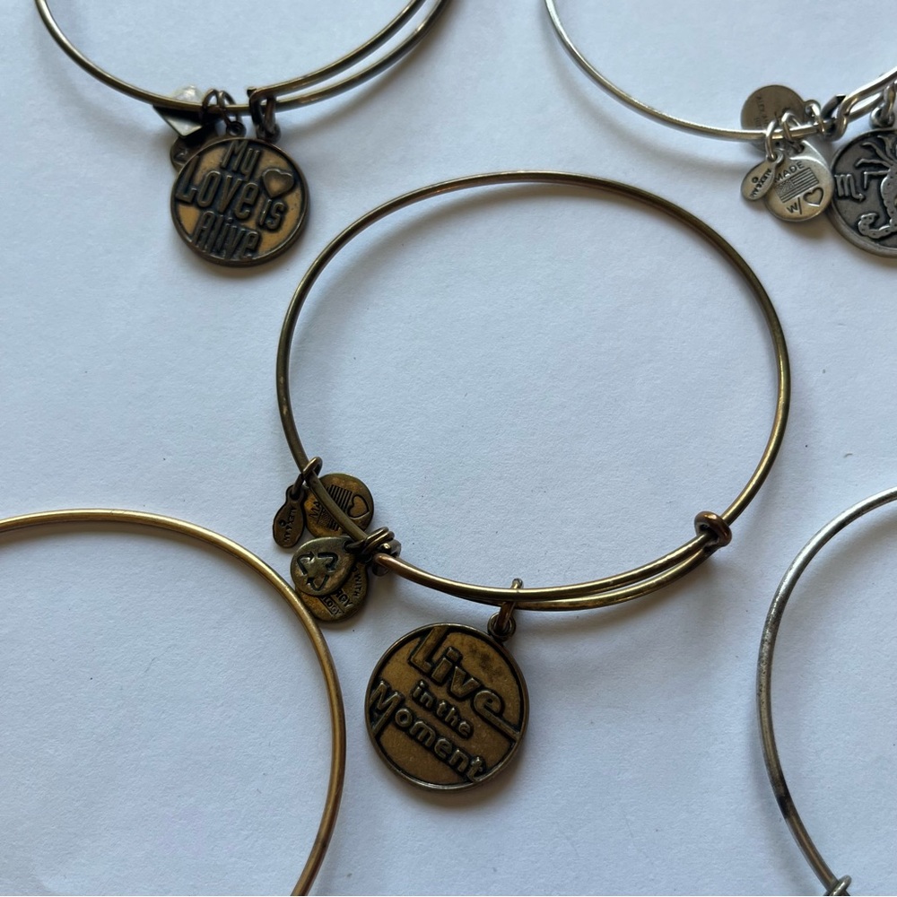 Alex and Ani Assorted Charm Bracelets - Picture 3 of 6